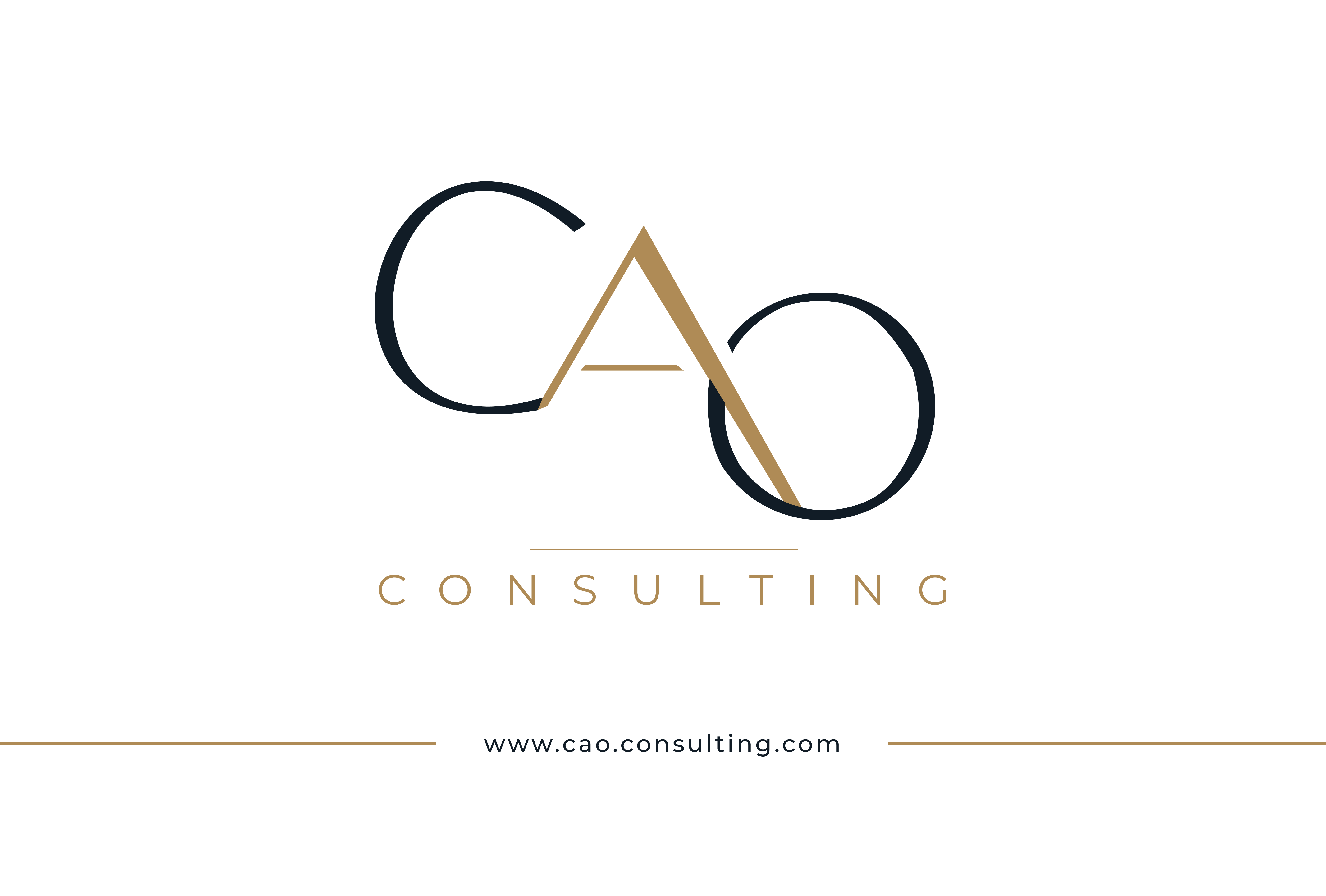 CAO Consulting — visuel 16