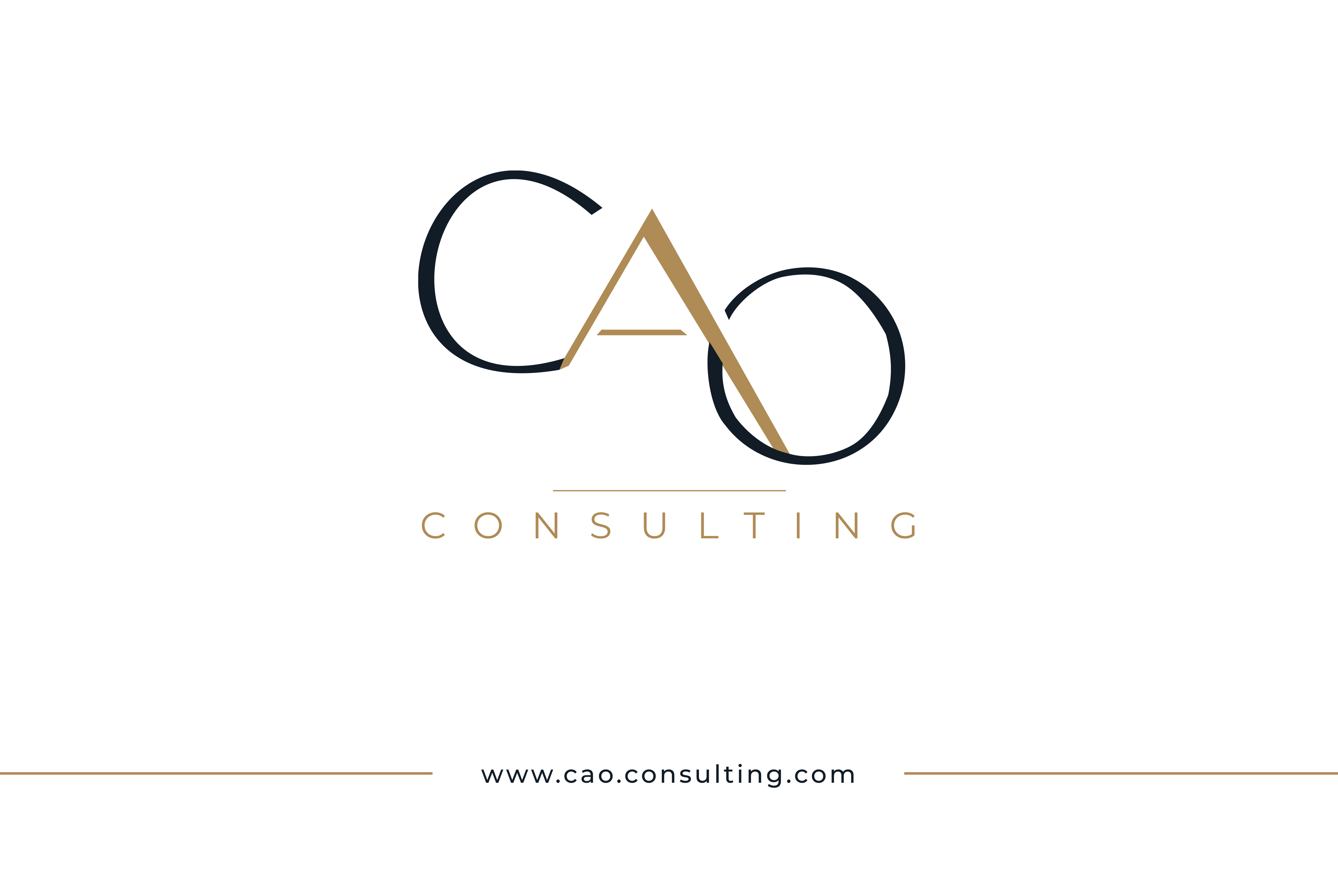CAO Consulting — visuel 17