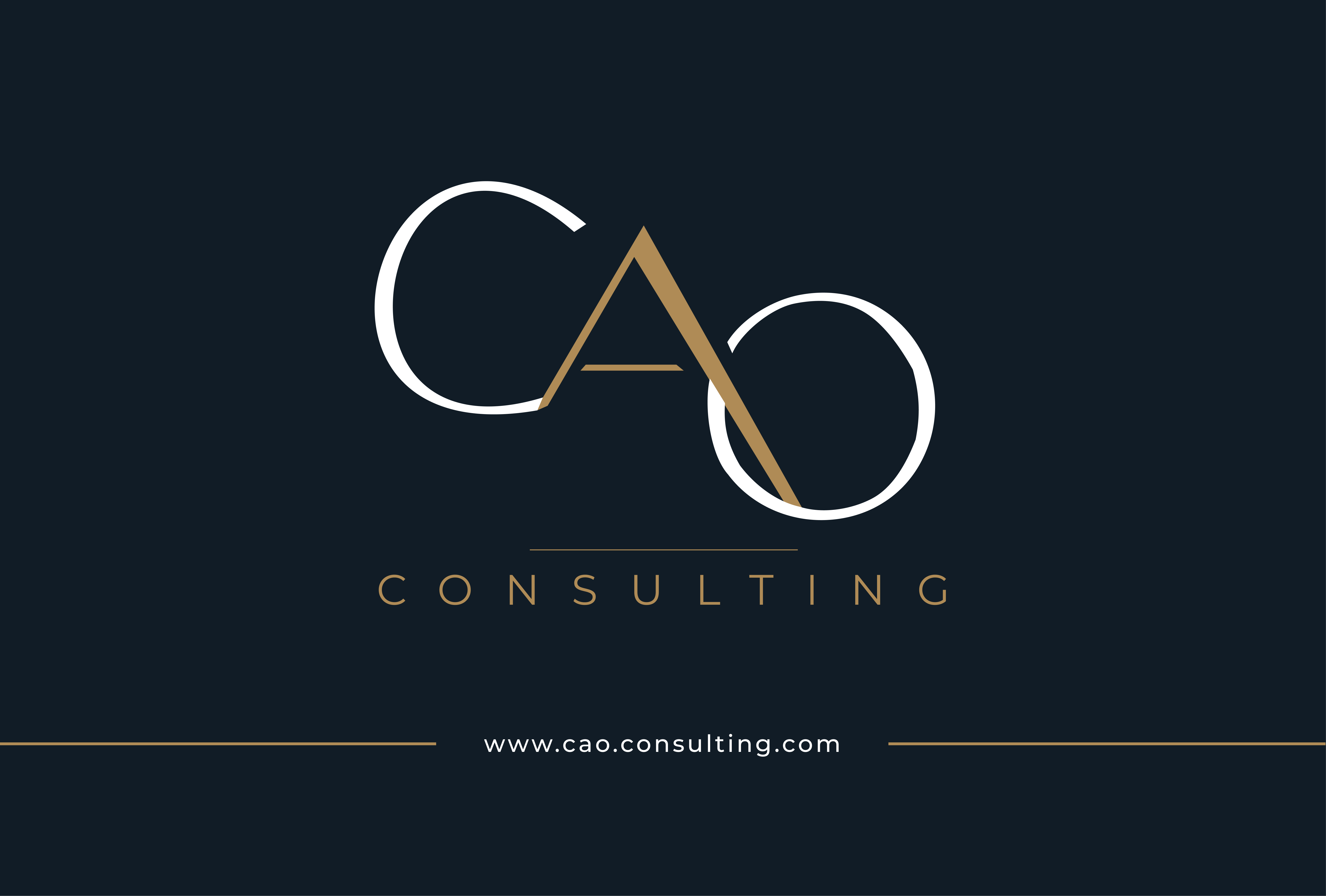 CAO Consulting — visuel 18