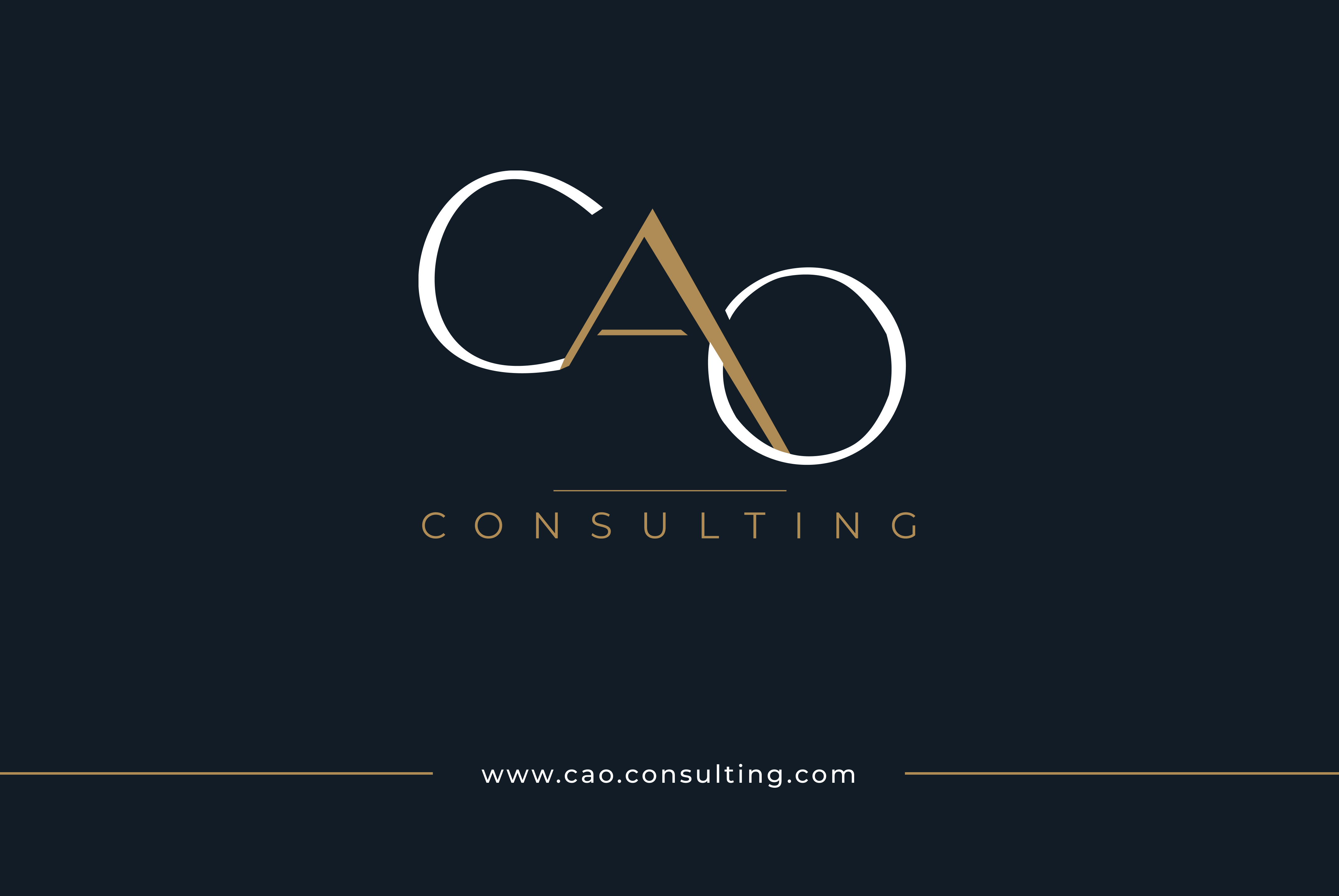 CAO Consulting — visuel 19
