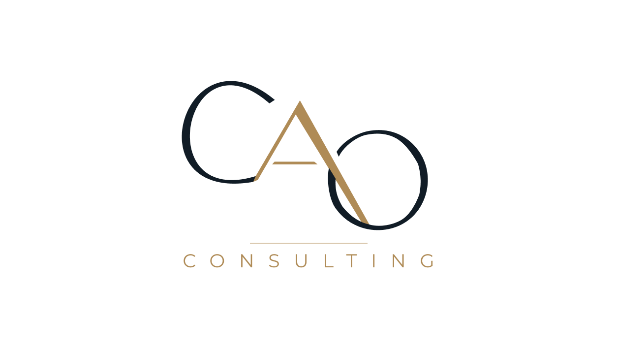 CAO Consulting — visuel 21