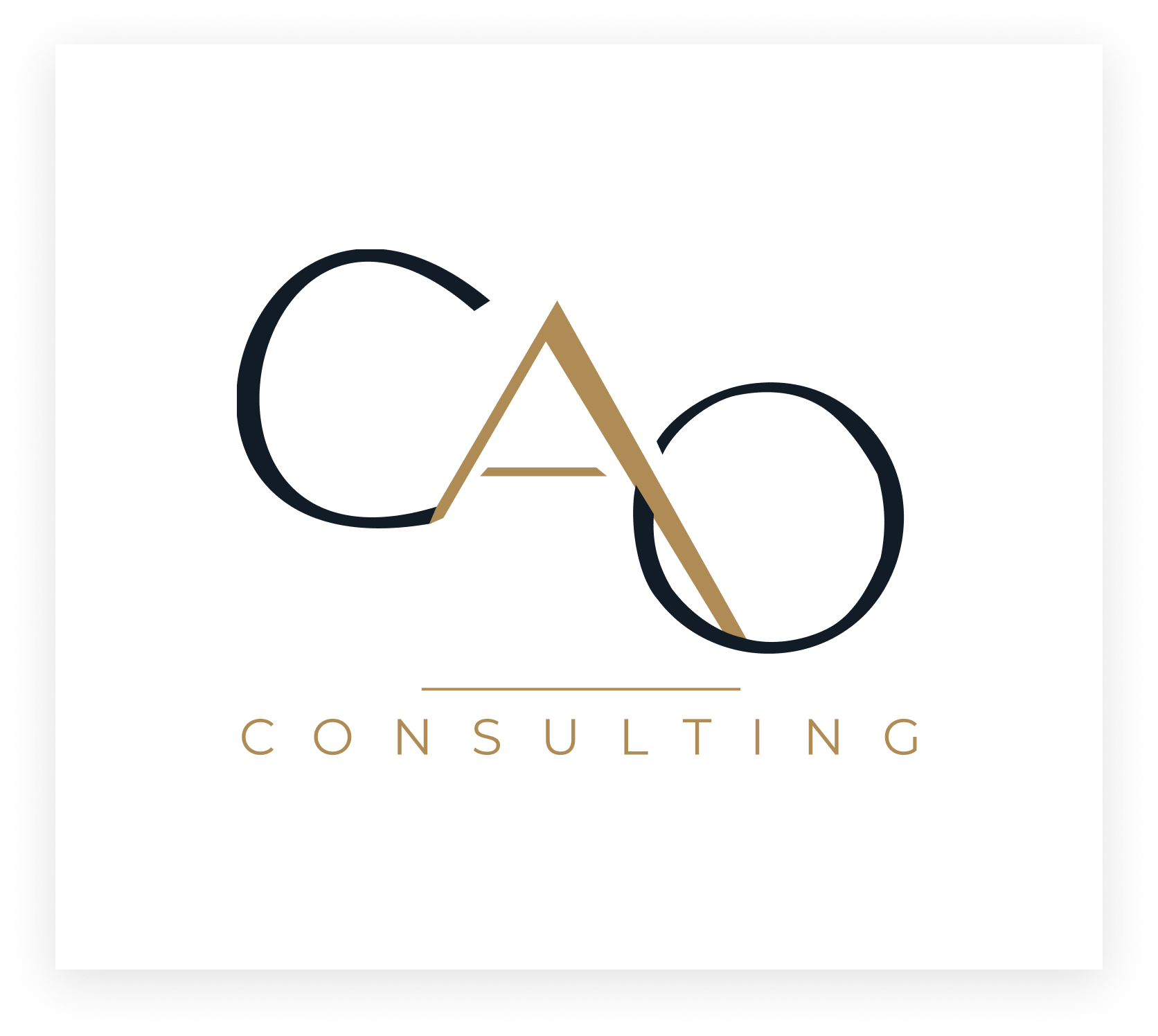 CAO Consulting — visuel 23