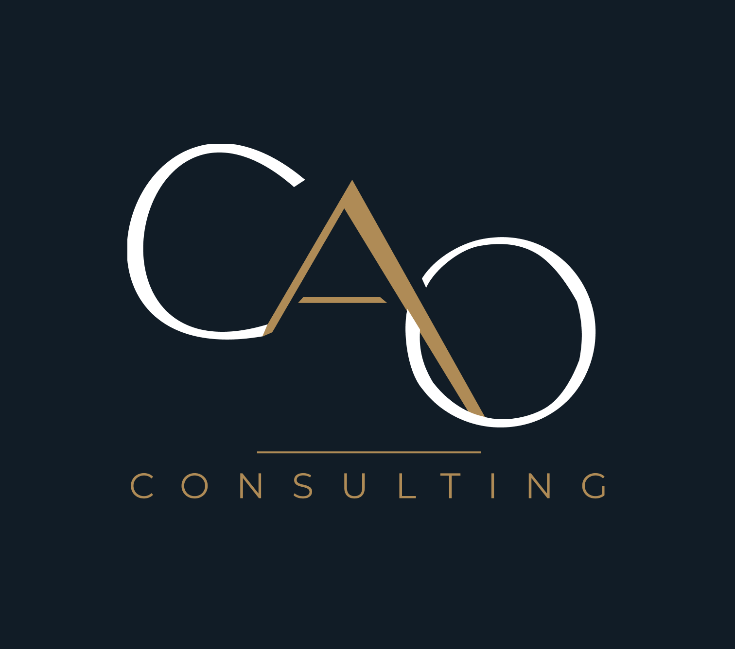 CAO Consulting — visuel 24