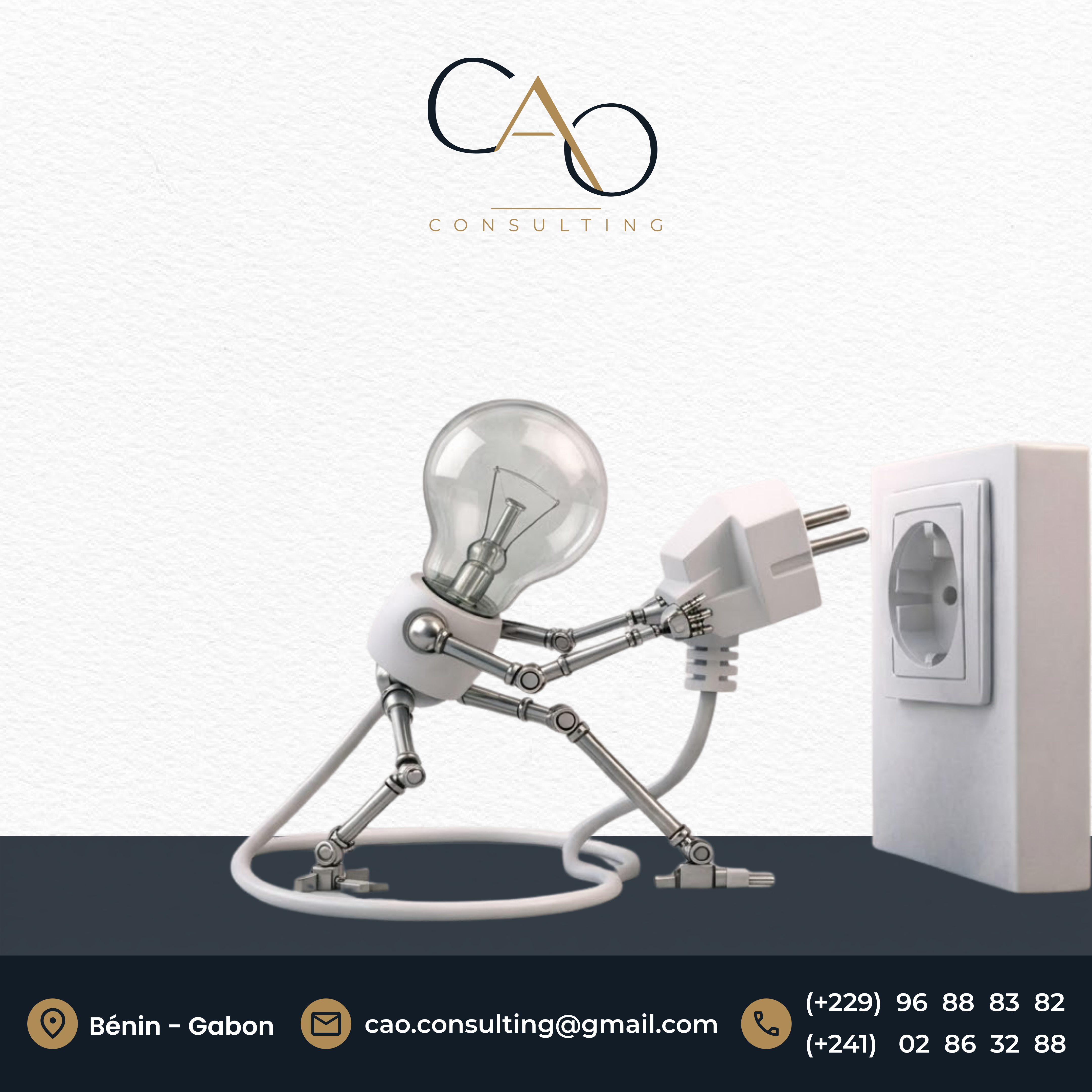 CAO Consulting — visuel 28