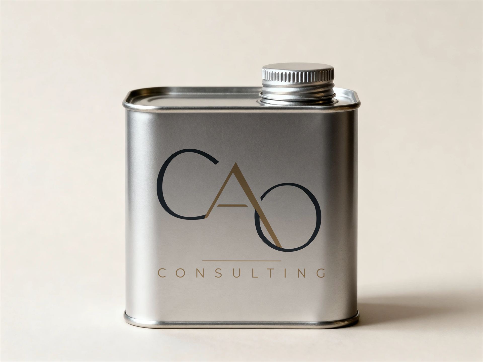CAO Consulting — visuel 31