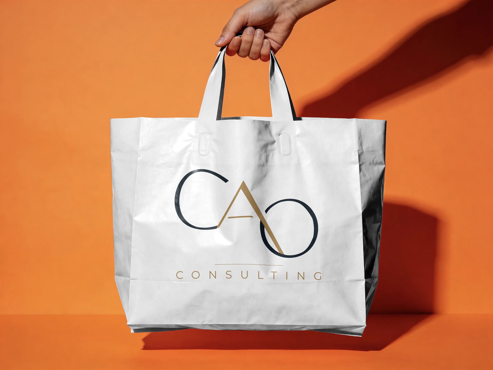 CAO Consulting — visuel 32