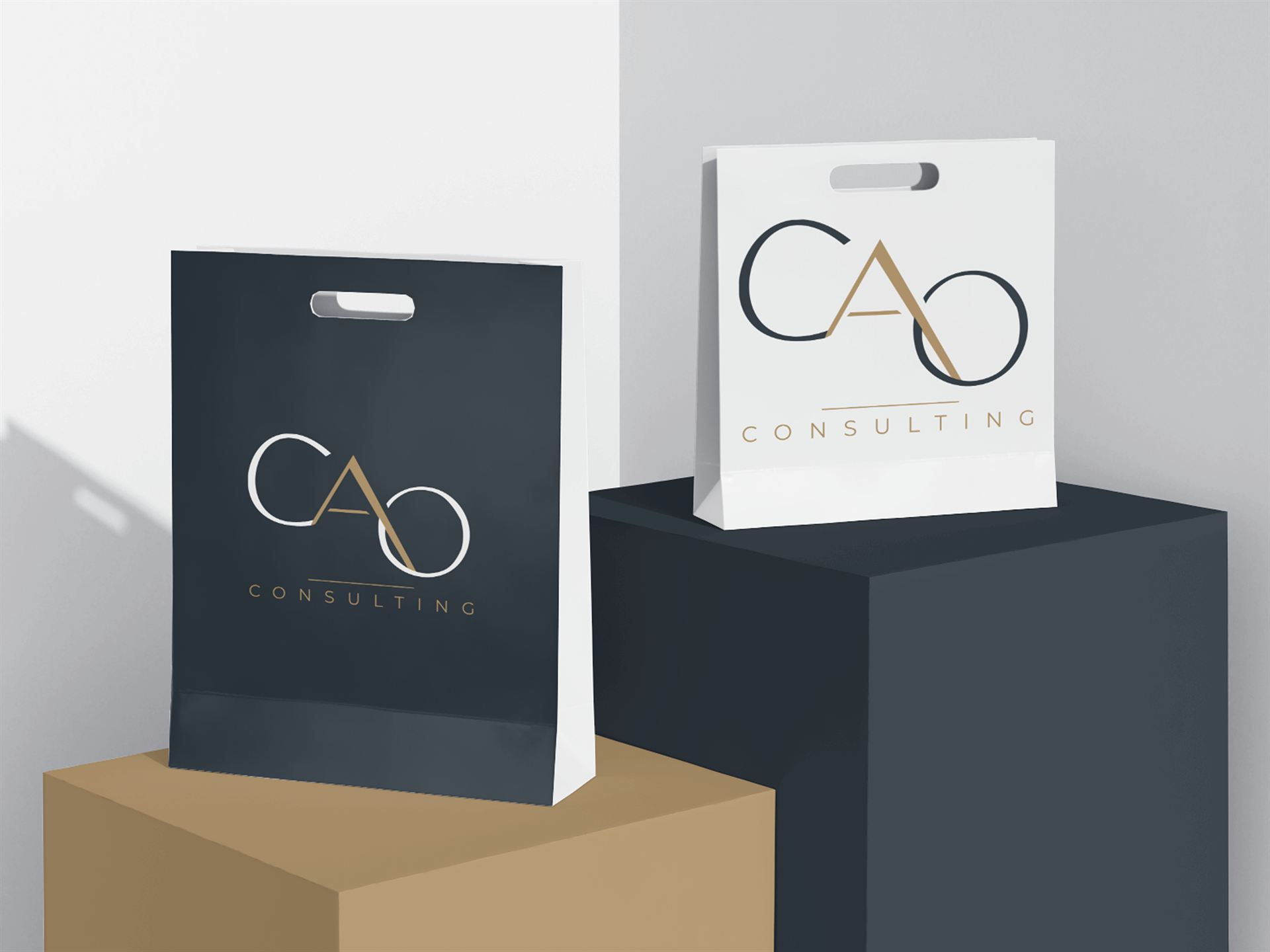 CAO Consulting — visuel 33