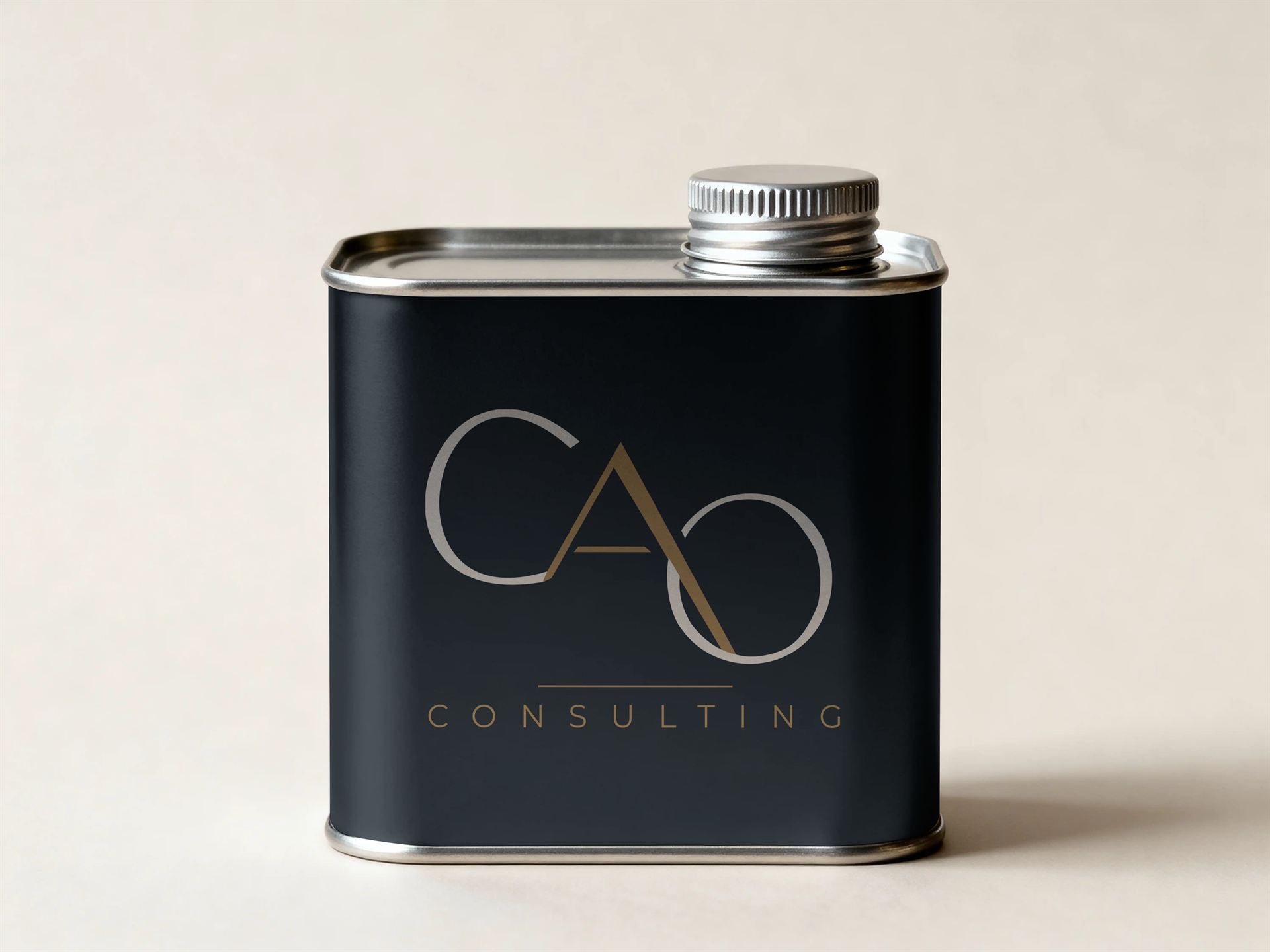 CAO Consulting — visuel 36