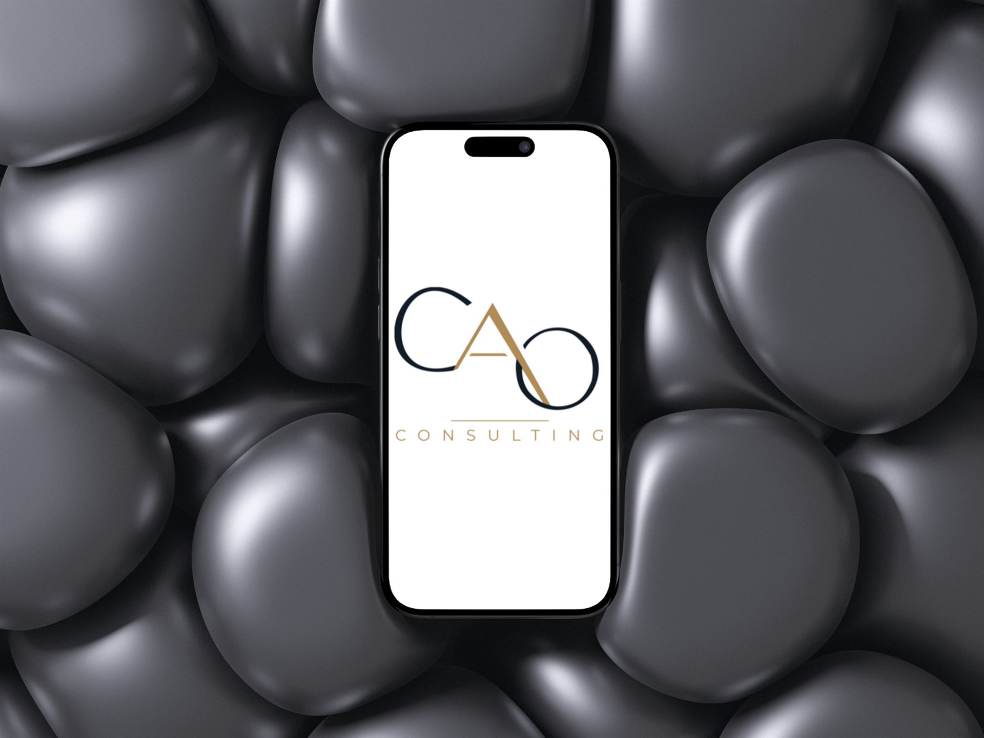 CAO Consulting — visuel 38