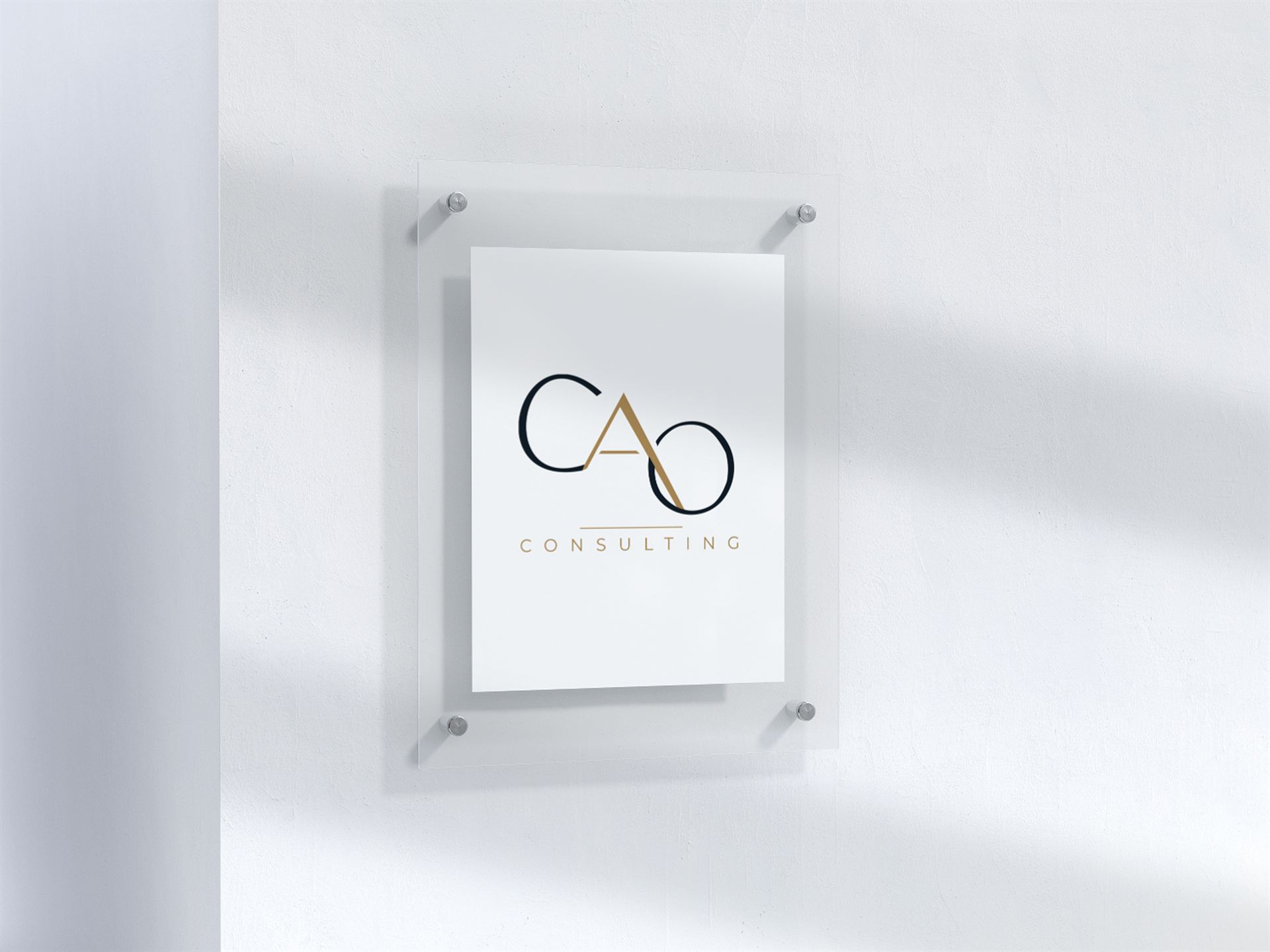 CAO Consulting — visuel 39