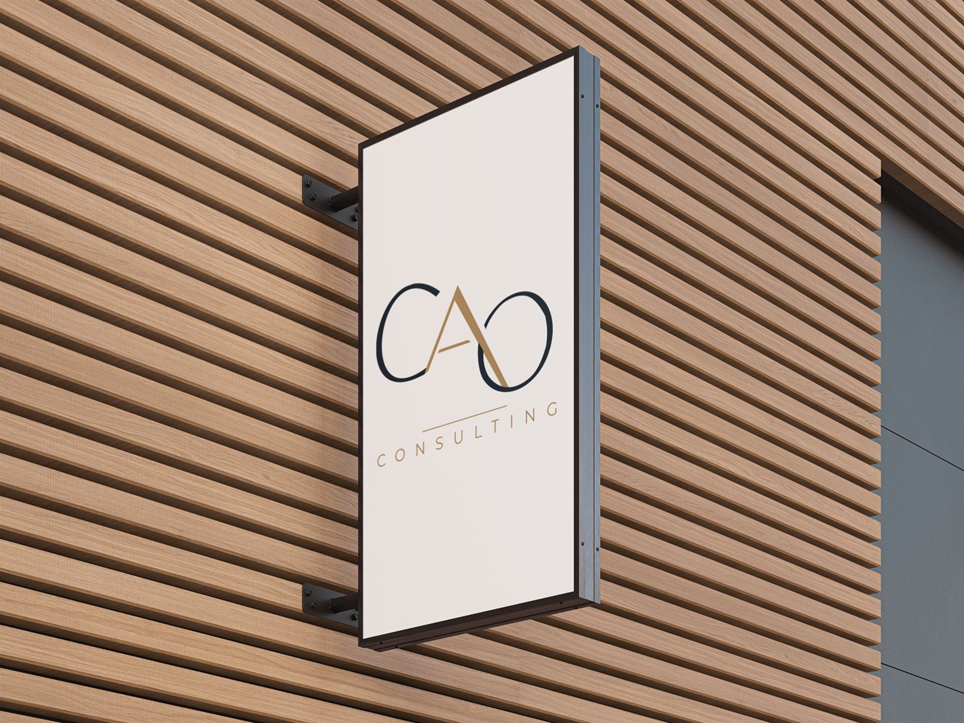 CAO Consulting — visuel 40