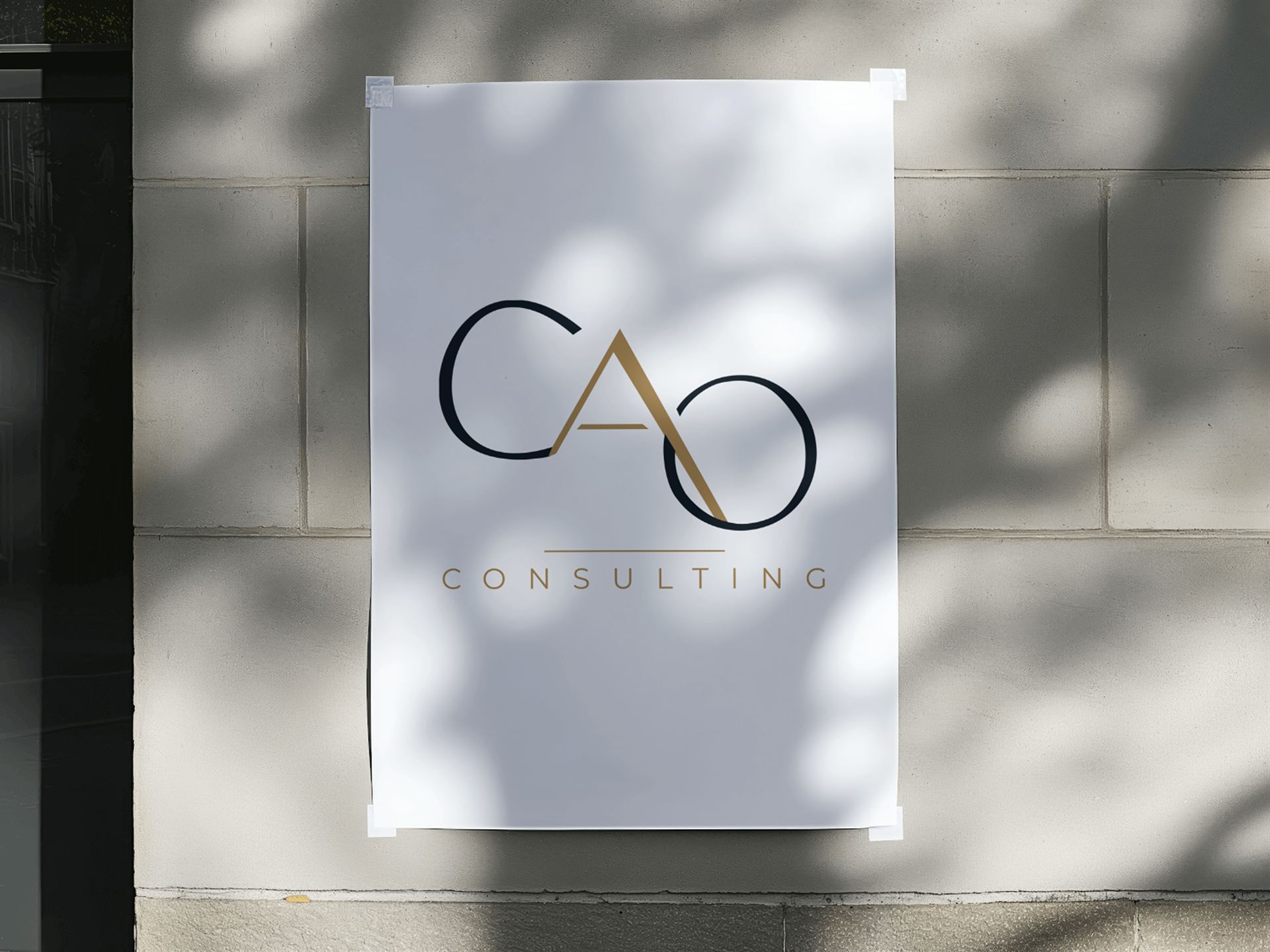 CAO Consulting — visuel 42