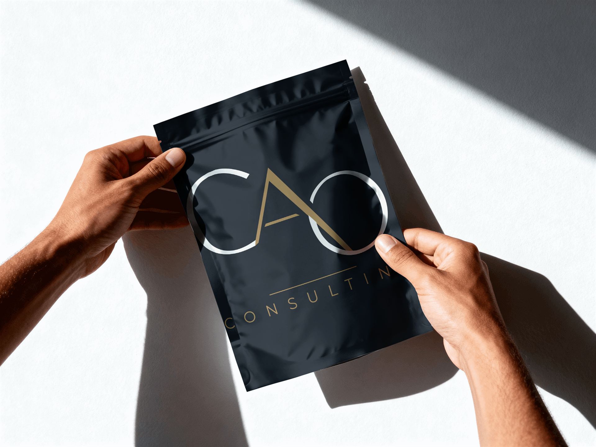 CAO Consulting — visuel 43