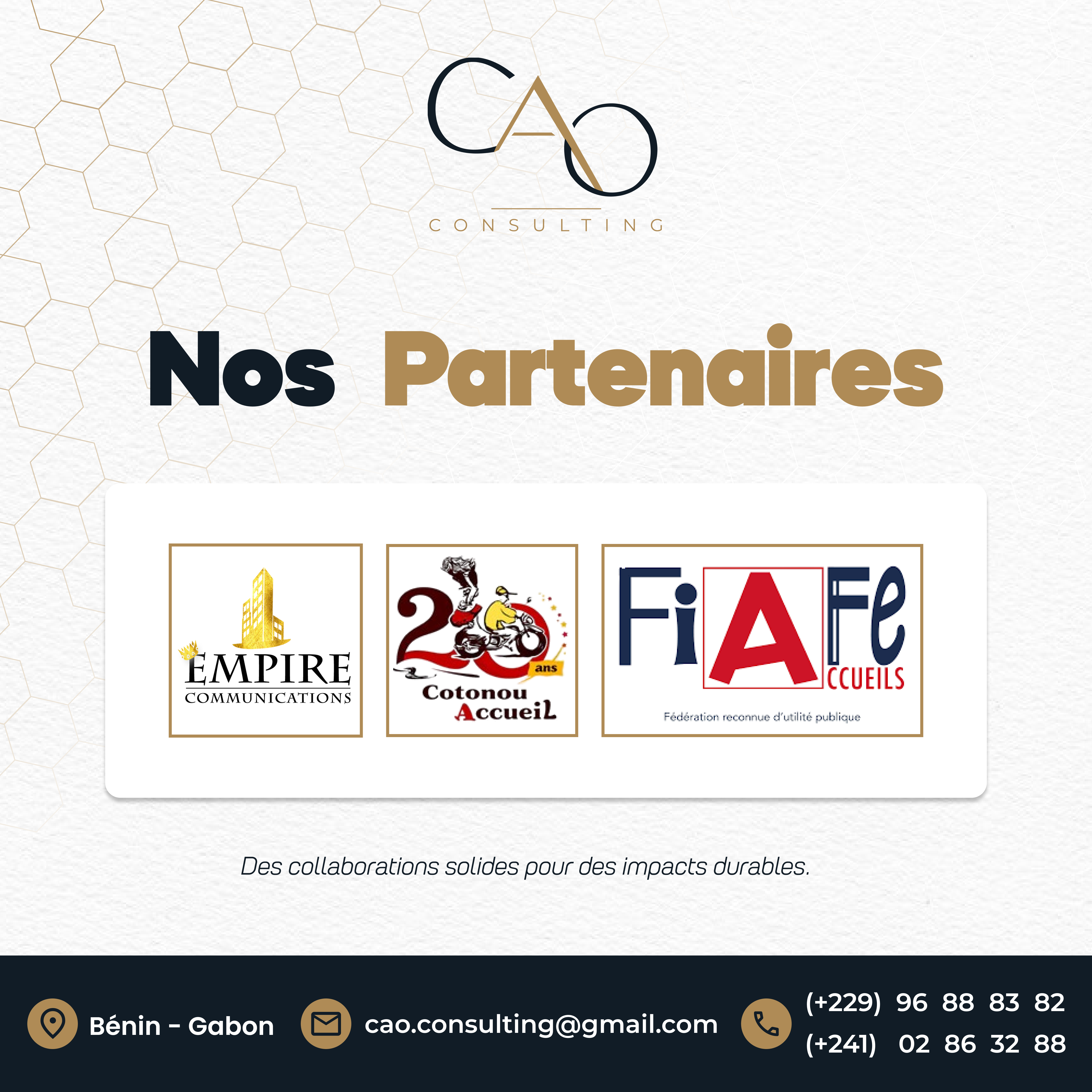 CAO Consulting — visuel 44