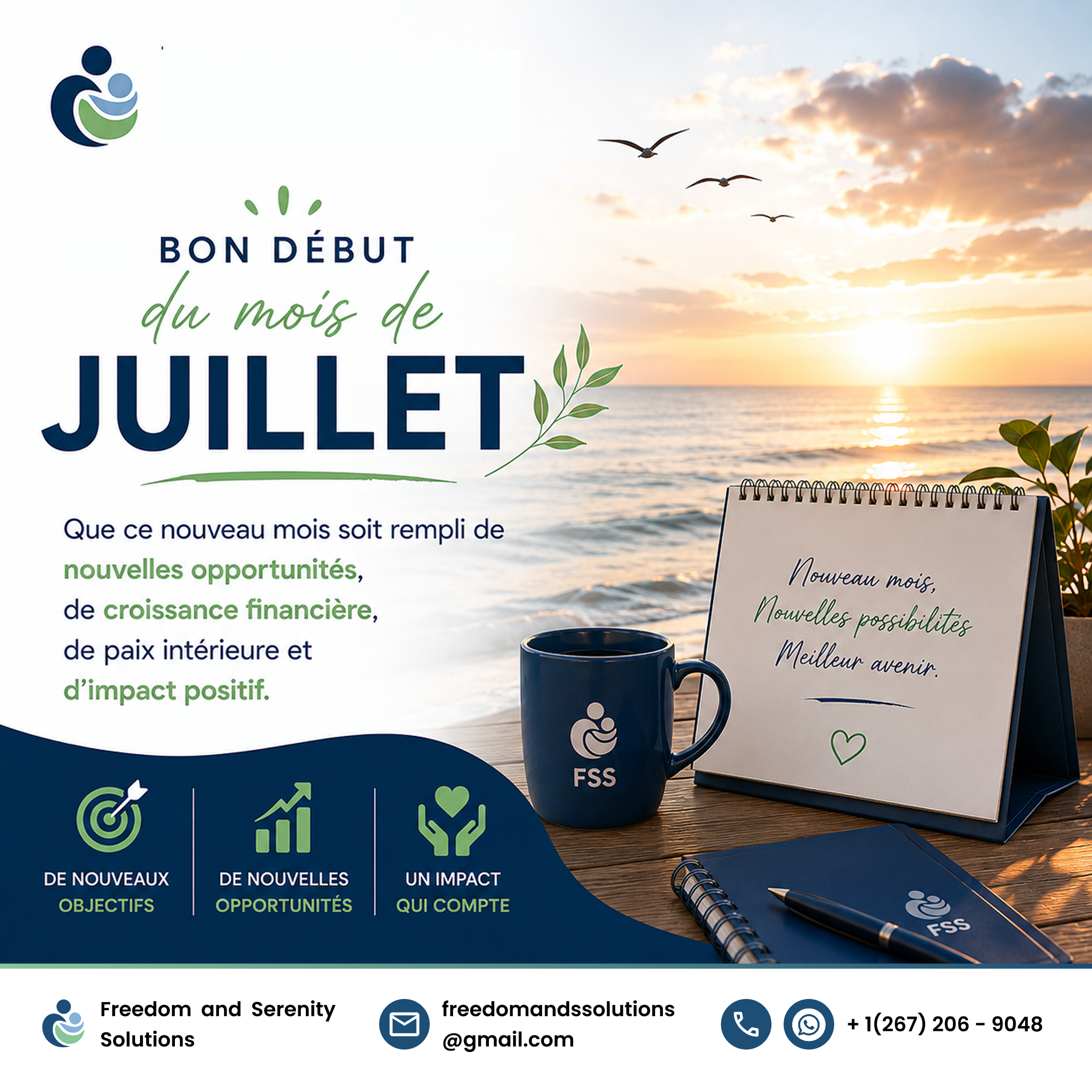 Freedom and Serenity Solutions