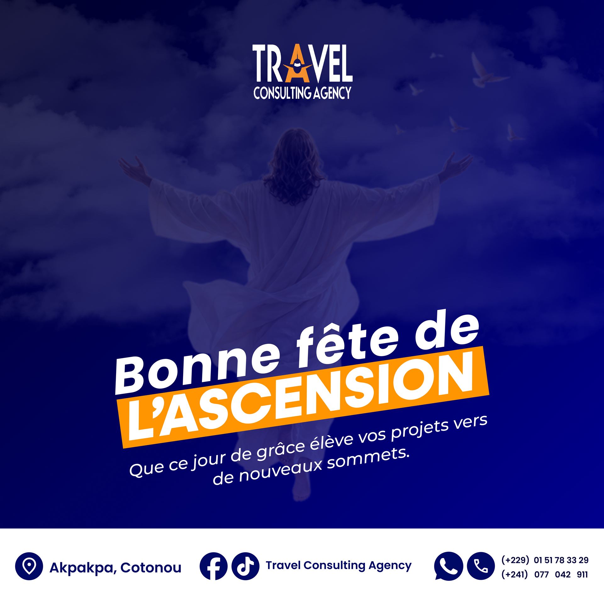 Travel Consulting Agency — visuel 27