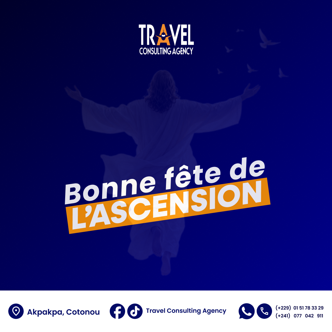 Travel Consulting Agency — visuel 71
