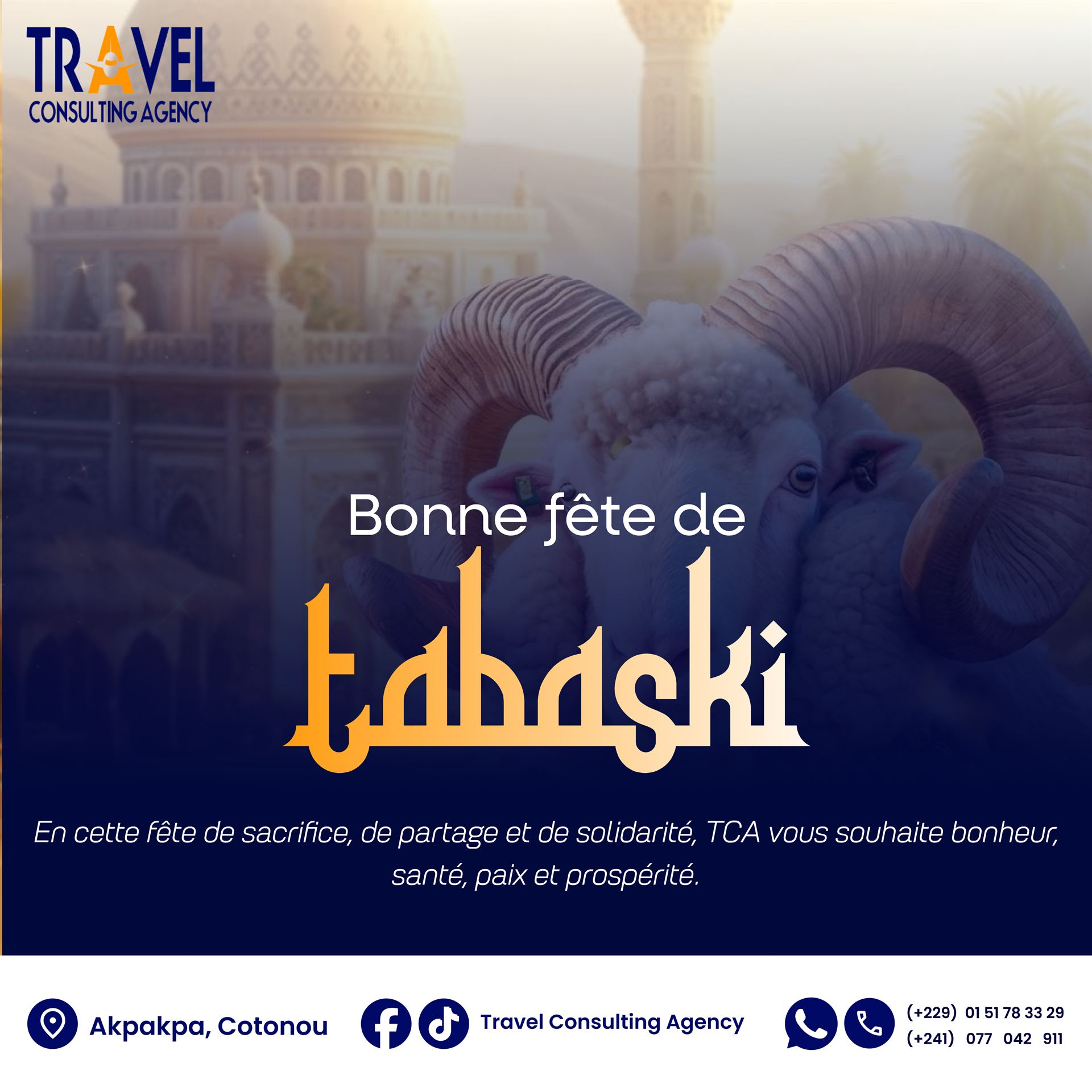 Travel Consulting Agency — visuel 79